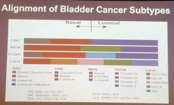 Alignment of Bladder Cancer Subtypes