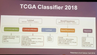 TCGA Classifier 2018