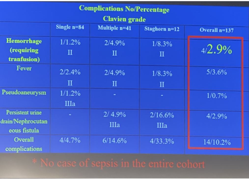 WCE 2019 complication rates non calyceal punctures
