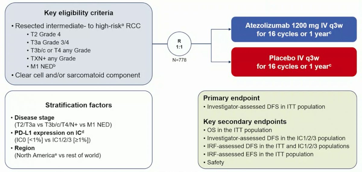 esmo_2022_patients_with_renal_cell_carcinoma_image-1.jpg