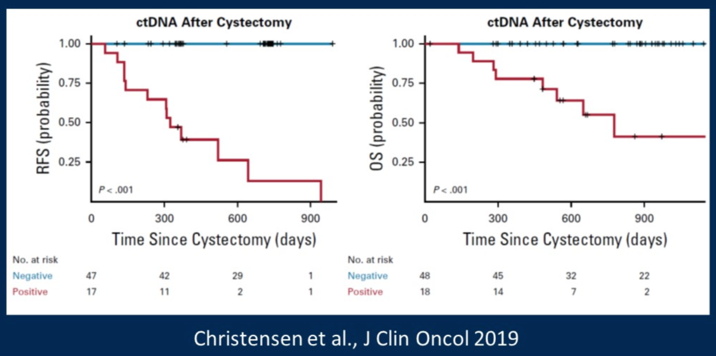 ctdna detection after cystectomy