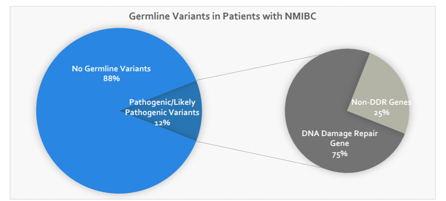germline variants in patiences with nmibc
