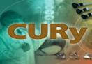 CURy