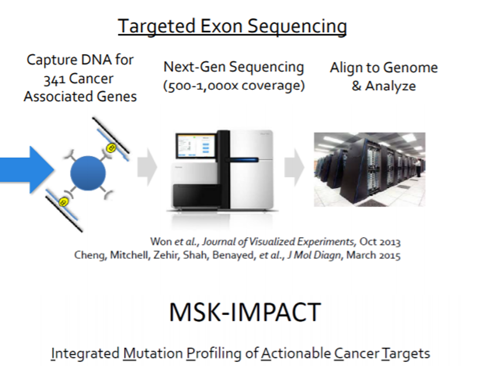 targeted exon sequencing