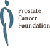 Prostate Cancer Foundation