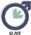 Latin American Society for Impotence Research (SLAIS)