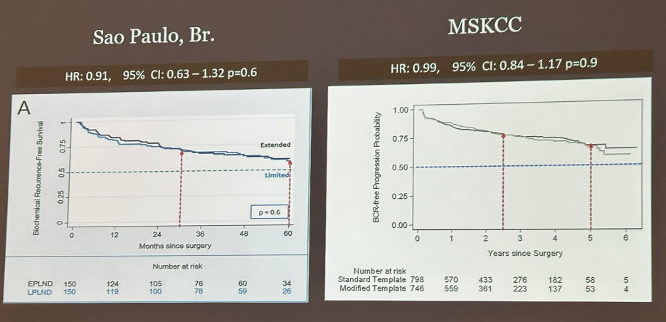 8_sao_paulo_MSKCC.png
