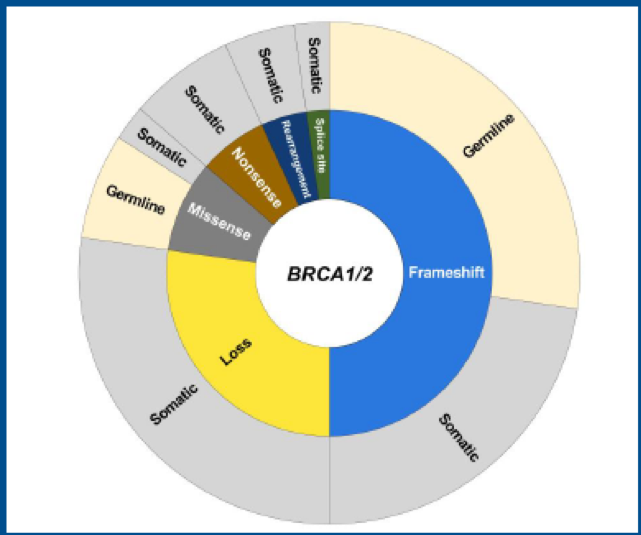 ASCO2019_BRCA.png