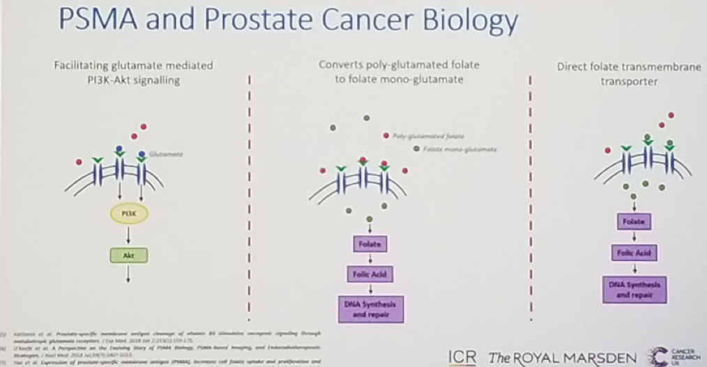 ASCO2019_PSMA.png