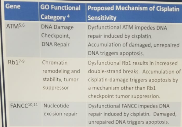 ASCO2019_Table2_ ATM-RB1-FANCC_important_DNA_repair.png