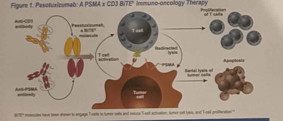 ASCO2019_poster146_Figure1.png