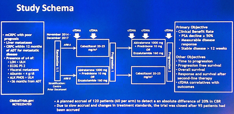 ASCO2019_study_schema.png