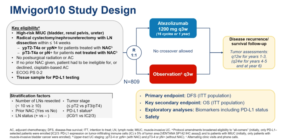 ASCO20_Imvigor101.png