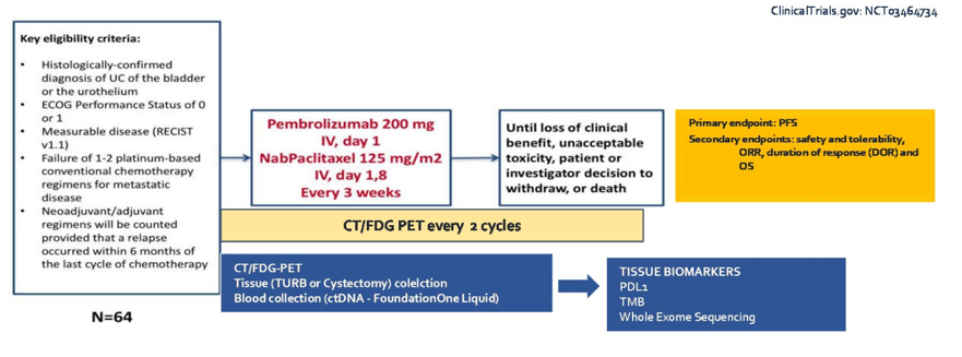 ASCO20_PEANUT.png