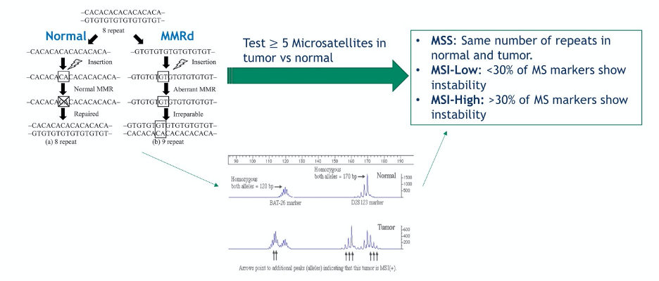 ASCO20_Virtual_Rettig_1.png