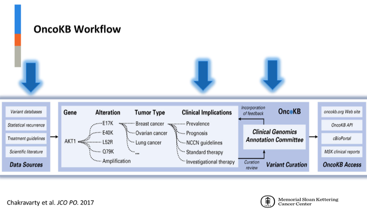 ASCOGU_OncoKBWorkflow.png