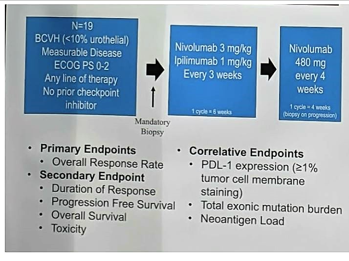 ASCO 2019 BCVH primary secondary endpoints