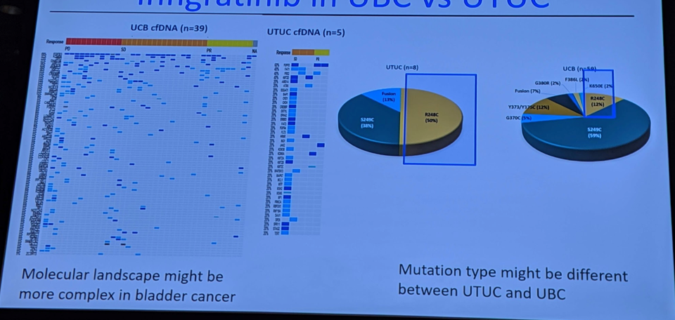 ASCO 2019_Loriot_2.png