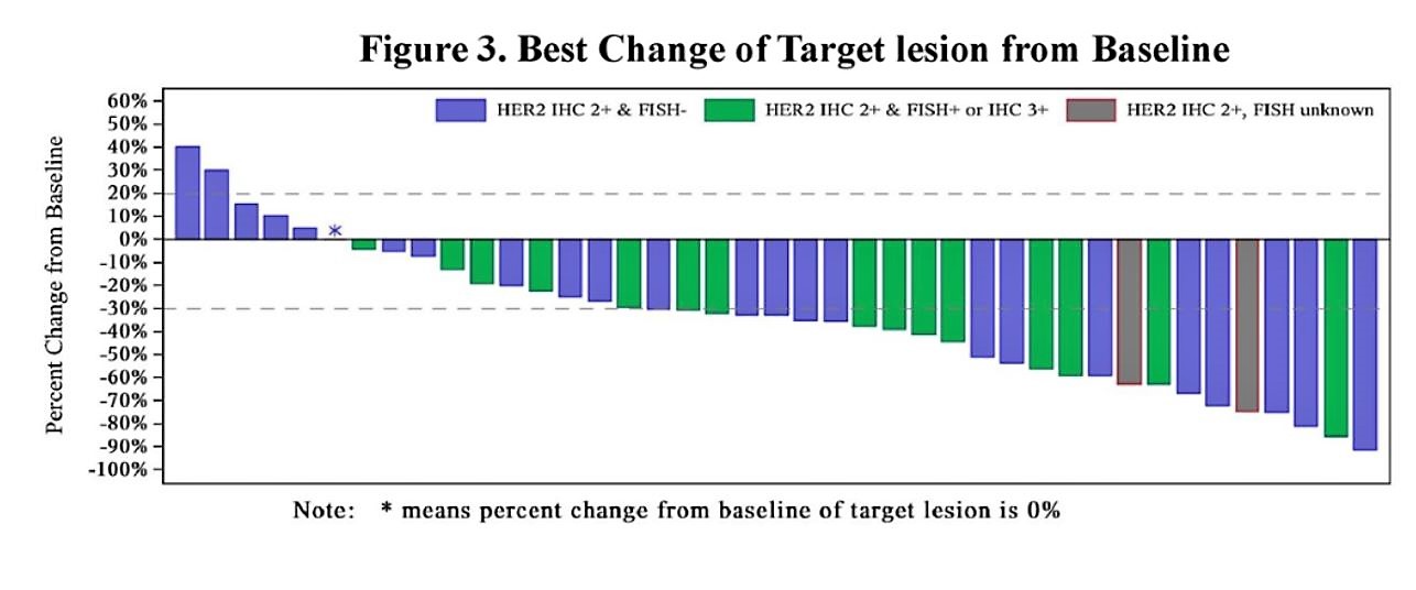 ASCO 2019 RC48 fig 1 change of target lesion
