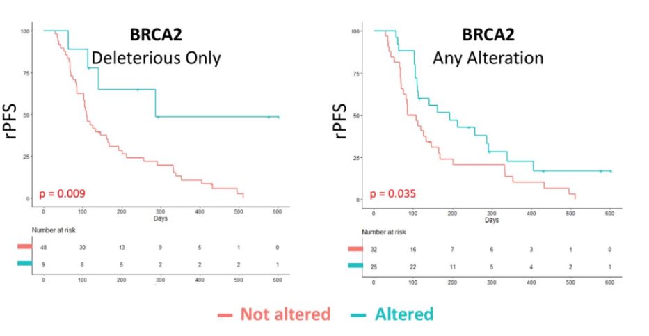 ASCO GU 2020 BRCA2 alterations