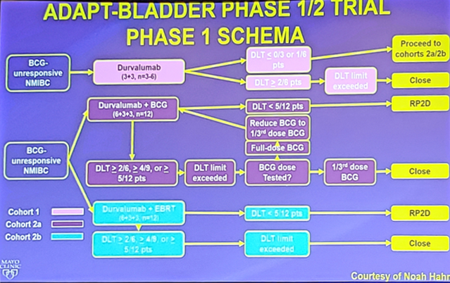 AUA2019_BCG Unresponsive in NMIBC_1.png