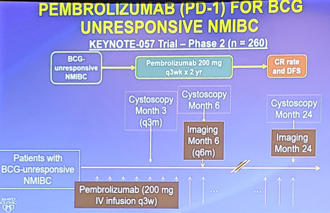 AUA2019_BCG Unresponsive in NMIBC_2.png