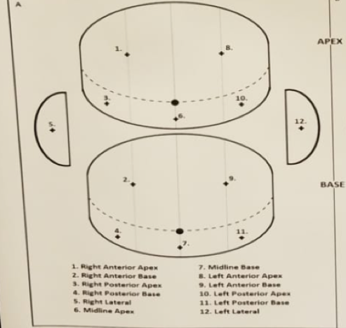 AUA2019_Barzell_12-core.png