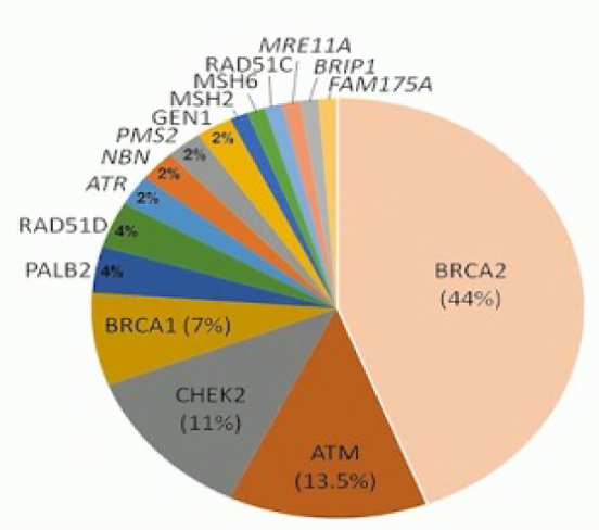 AUA2020_Germline_mutations_in_metastatic_prostate_cancer_patients.png