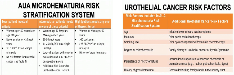 hematuria a prostatitis alatt)