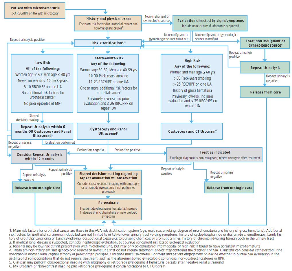 Prostatitis MicroHematuria)