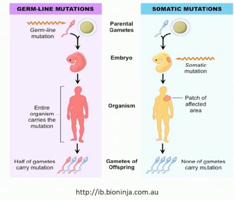 AUA2020_genetic_mutations.png
