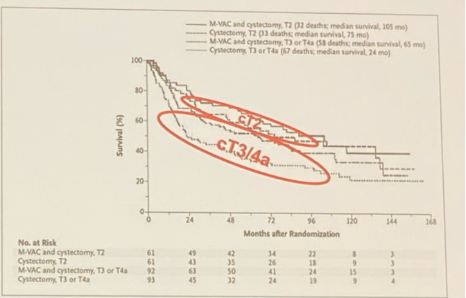 AUA2022_Daneshmand_2.png