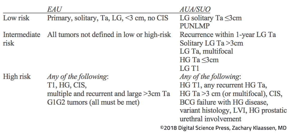 UroToday_AUA 2018_Risk Stratification for NMIBC UroToday Zachary Klaassan MD