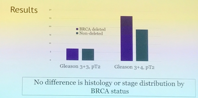 AUA 2019 BRCA Status