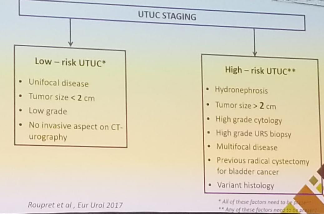 AUA 2019 EAU definition of low and high risk disease