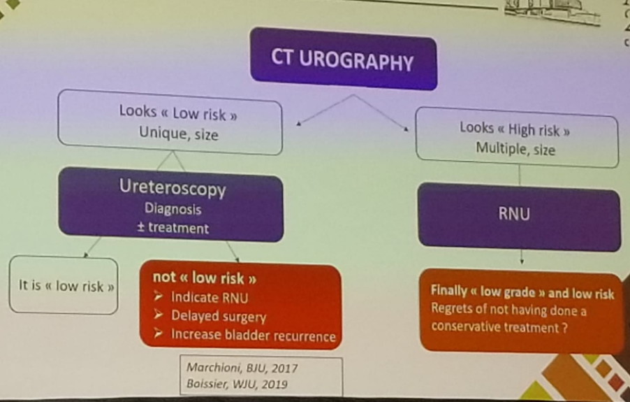 AUA 2019 pitfalls in the management of UTUC 