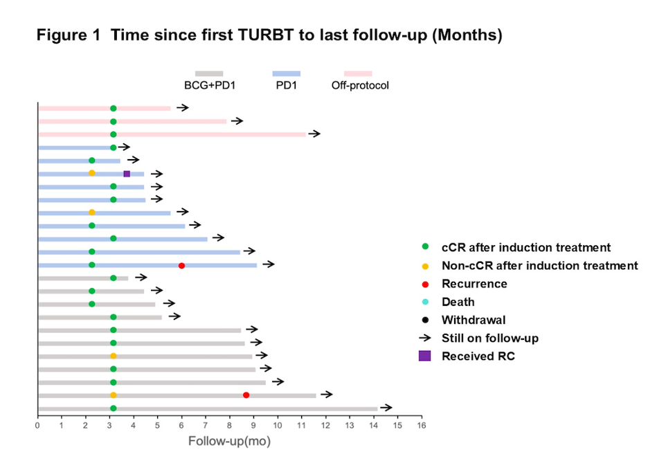 All_patients_completed_induction_treatment_with_tislelizumab_and_RC48.jpeg