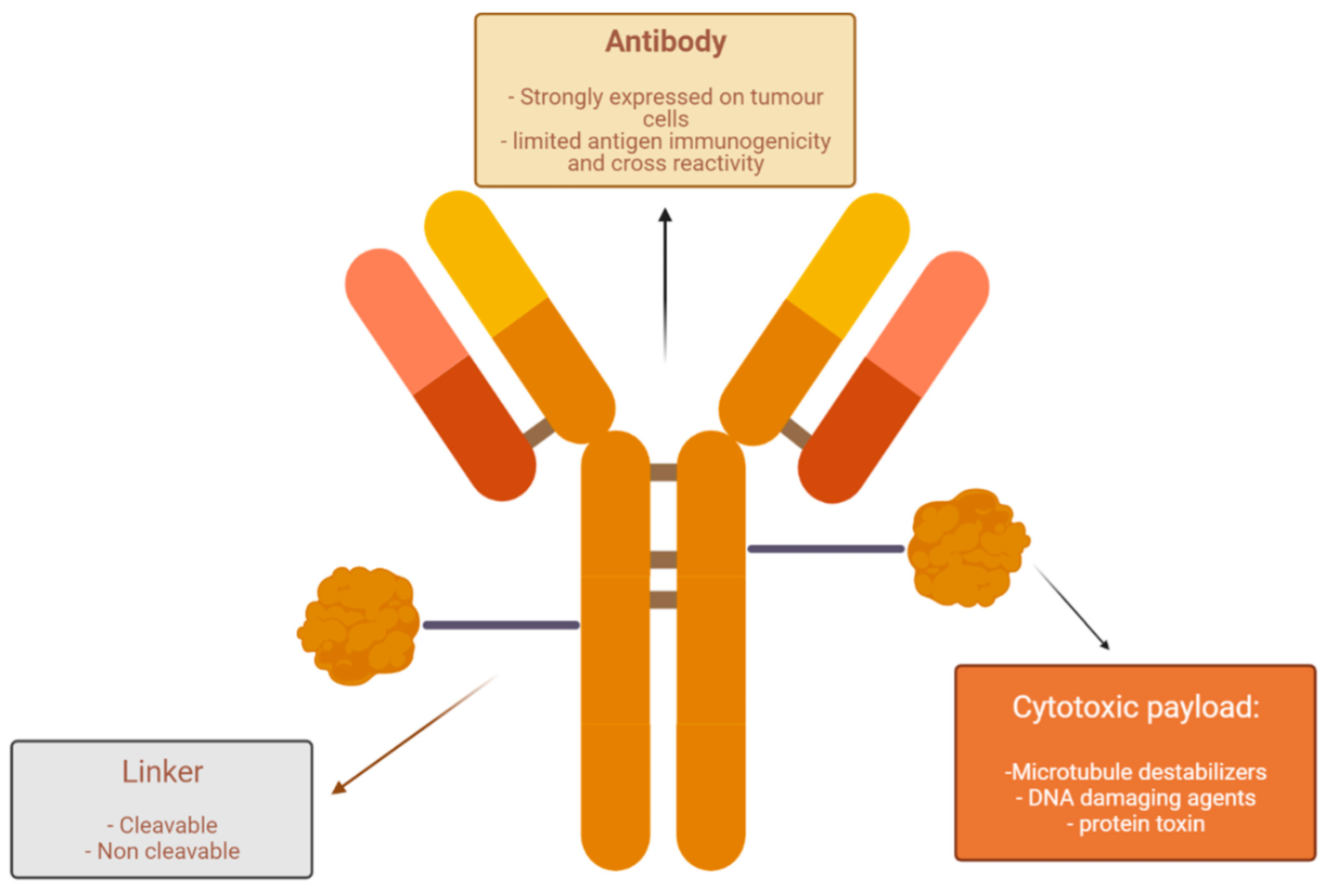 BCANTT 2024: Disrupting the Paradigm of First-line Therapy in