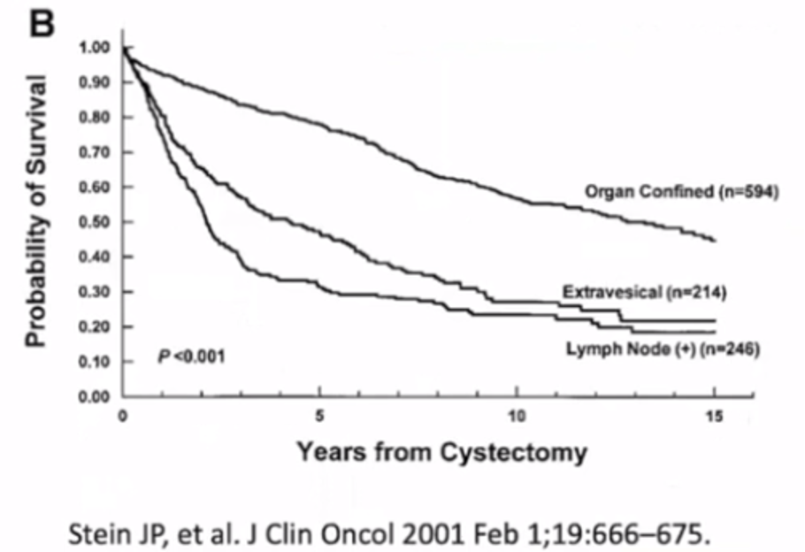 Bladder cancer outcomes following cystectomy
