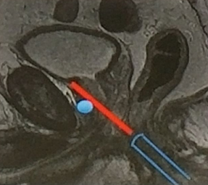 CogBio2