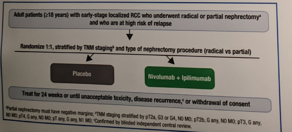 EAU2019 Checkmate 914