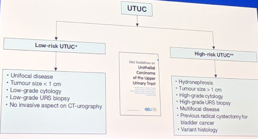 EAU2019_EAU-guidelines2.png