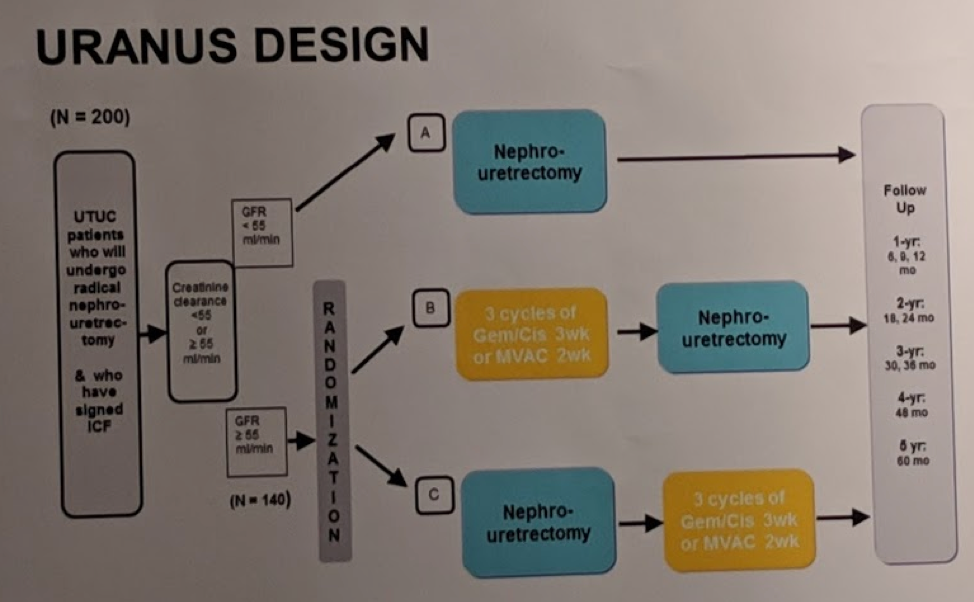 EAU2019 URANUS trial 