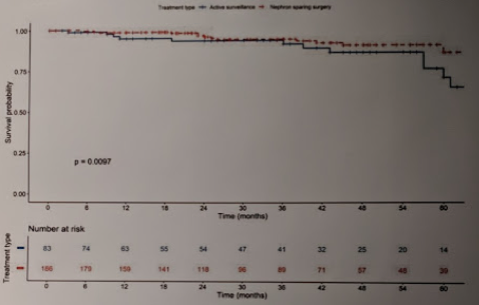EAU2019_cox_regression_analysis.png