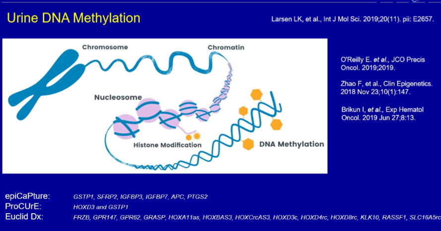 EAU2020_DNA_methylation.png