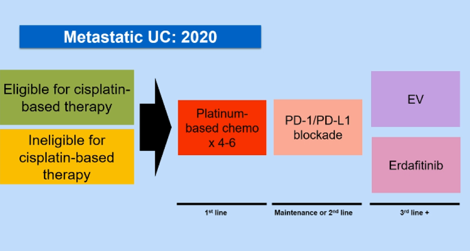 EMUC_JAVELIN_Bladder_100.png