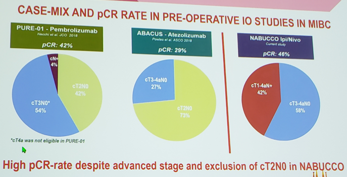 ESMO2019 MIBC