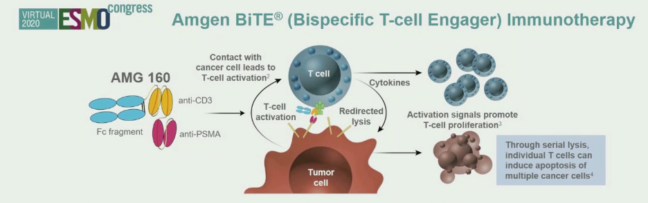 ESMO2020_AMGEN_BiTE_1.png