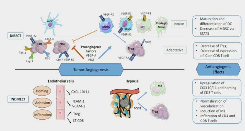 ESMO2020_Laurence_Albiges_1.png