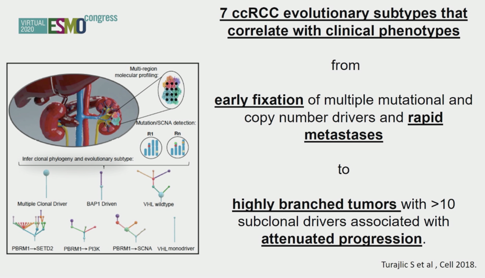 ESMO20_ccRCC_tumors.png